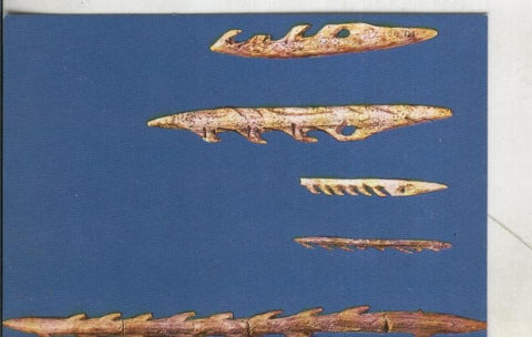 Postal 3994 : Arte prehistorico: Arpones de hueso