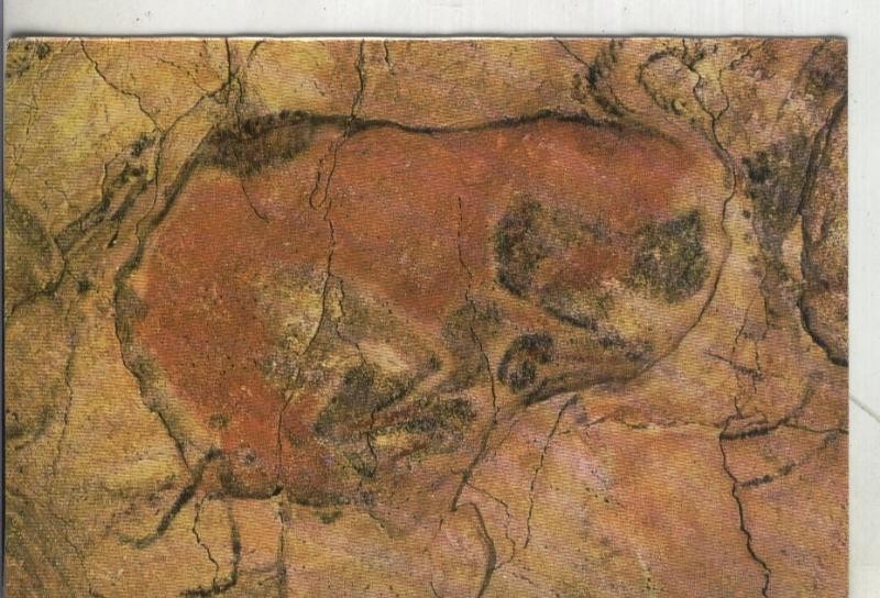 Postal 4003 : Cueva de Altamira: Bisonte
