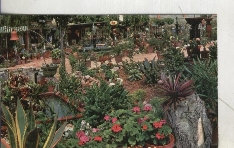 Postal 3935 : Tarragona: Vendrell: ceramicas Poblet