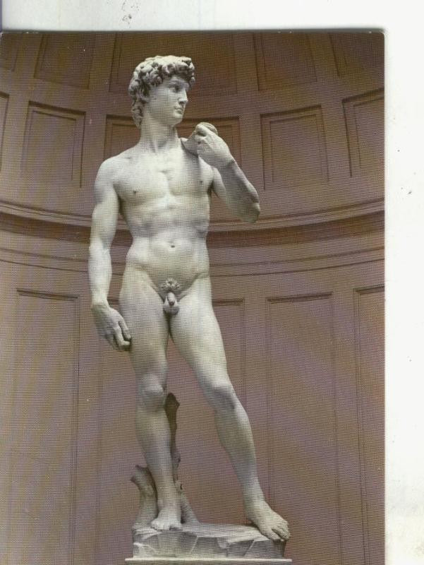 Postal 4033 : Italia: Firenze: David de Michelangelo