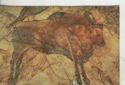 Postal 4007 : Cueva de Altamira: Gran Bisonte
