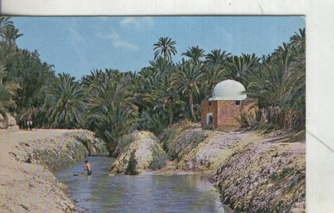Postal 4106 : Tozeur: Oasis