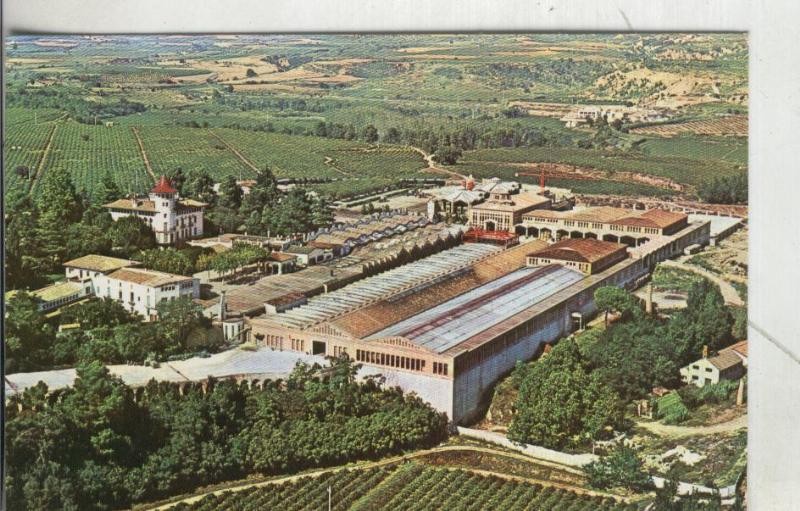 Postal 4134 : Cavas Codorniu: Exteriores