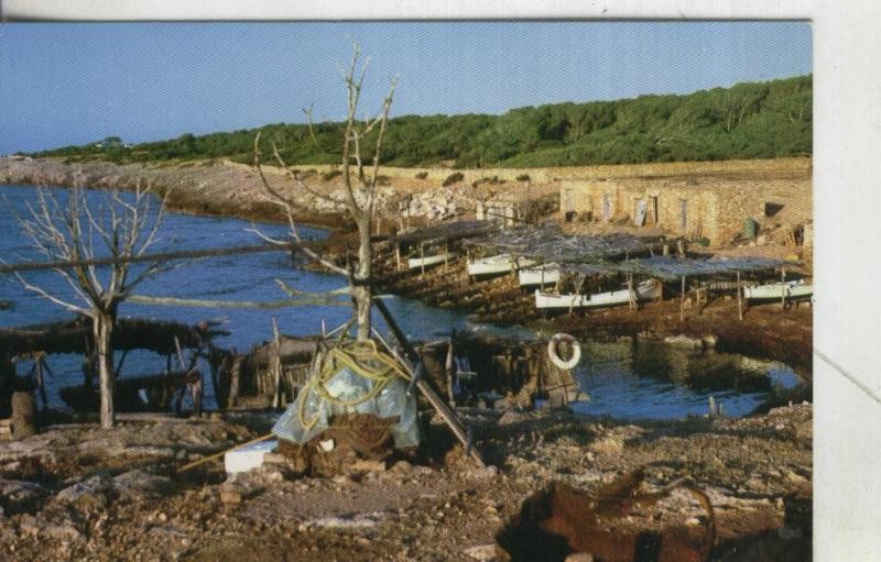 Postal 4177 : Formentera: Esturre de Laiga Michorn
