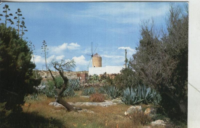 Postal 4178 : Formentera: Molino tipico