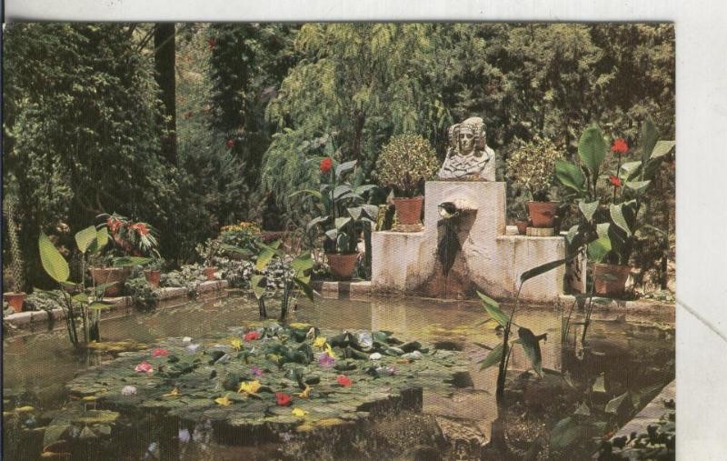 Postal 3920 : Elche: Huerto del Cura: El tocador de la dama de elche