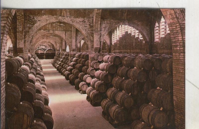Postal 4189 : Cavas Cordoniu: una bodega