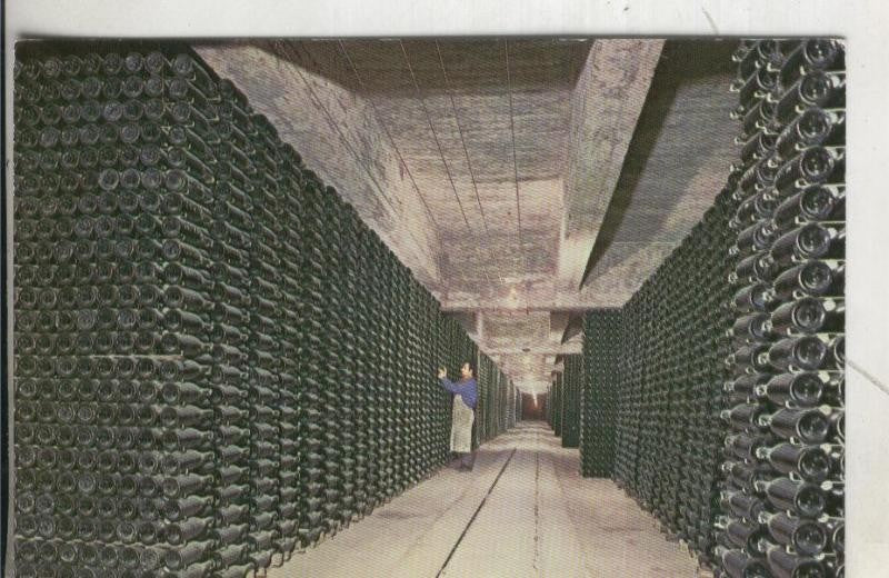 Postal 4190 : Cavas Cordoniu: Botellas envejeciendo