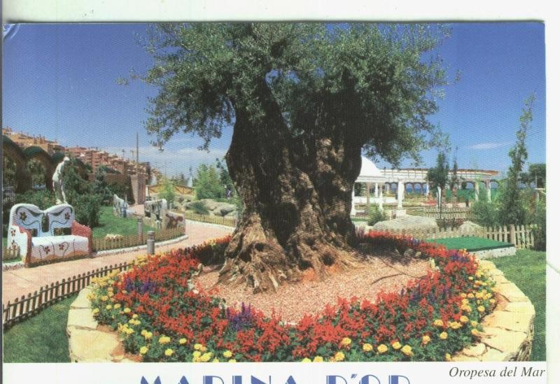 Postal 4364 : Marina D,Or en oropesa del mar