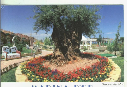 Postal 4364 : Marina D,Or en oropesa del mar