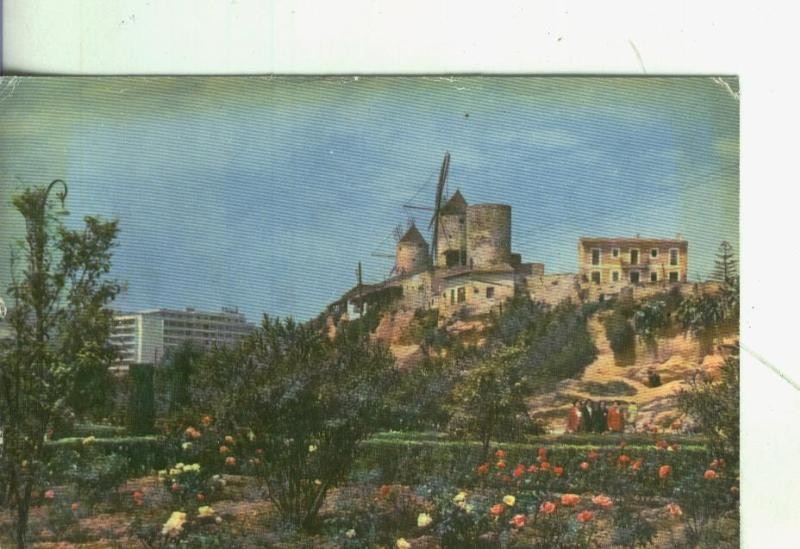 Postal 4374 : Palma de Mallorca: Jardines del paseo maritimo