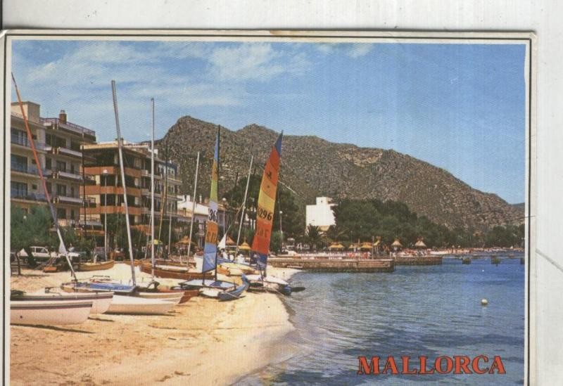 Postal 4414 : Mallorca: Puerto de Pollensa
