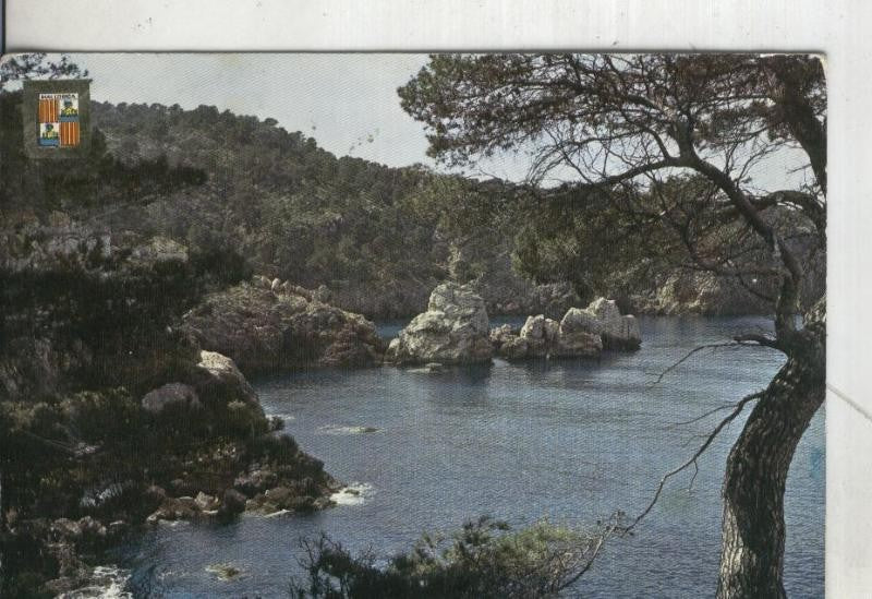 Postal 4418 : Mallorca: Deya, detalle de la costa