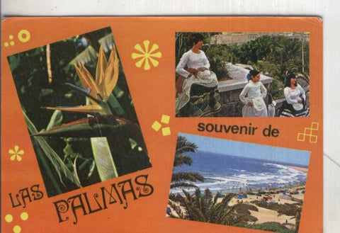 Postal 4482 : Souvenir de Las Palmas