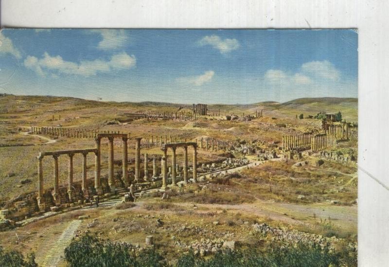 Postal 4488 : Jerash: La rue des collonades