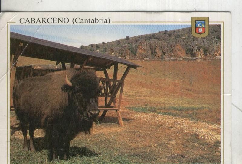 Postal 4594 : parque de la naturaleza en Cabarceno-Cantabria