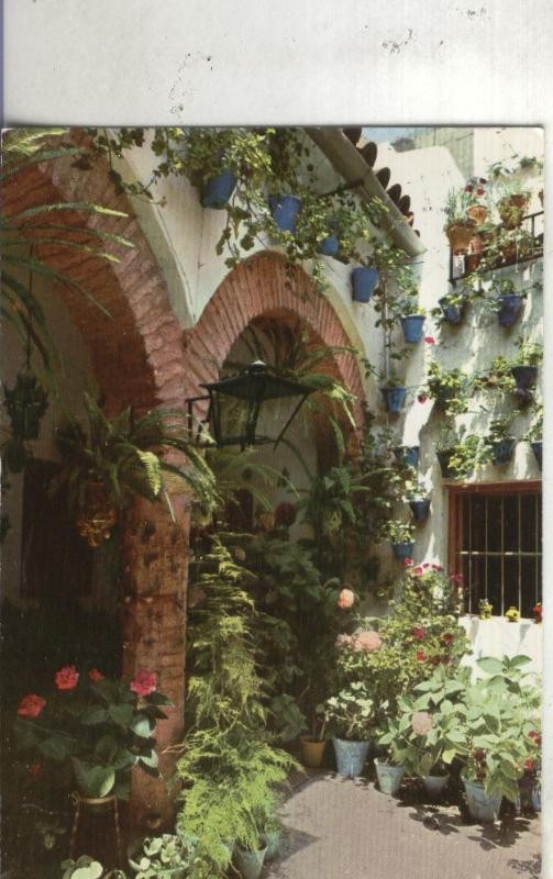 Postal 4672 : Patio andaluz