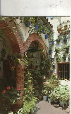 Postal 4672 : Patio andaluz