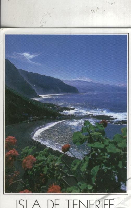 Postal 4683 : Vista costa de Tenerife
