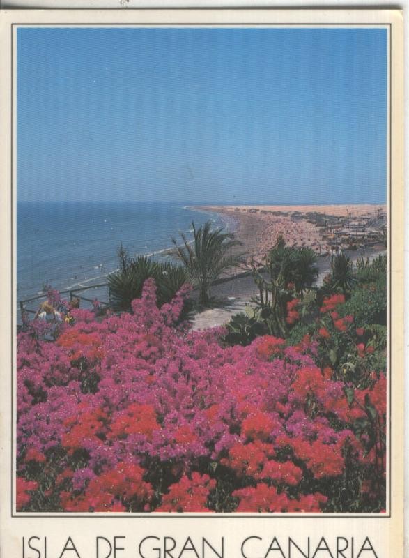 Postal 4731 : Playa del Ingles en Gran Canaria