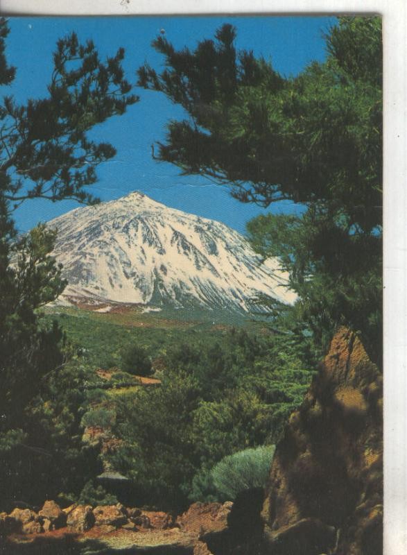 Postal 4752 : Vista de El Teide en Tenerife