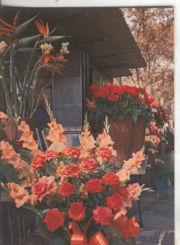 Postal 4759 : Caseta de flores en las Ramblas de Barcelona