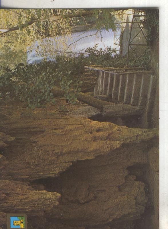 Postal 4785 : Gruta del Artista y Caprichosa en Monasterio de Piedra-Zaragoza