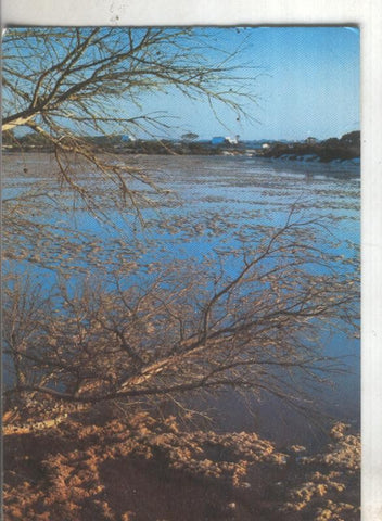 Postal 4812 : Panoramica de las salinas de Formentera en Baleares