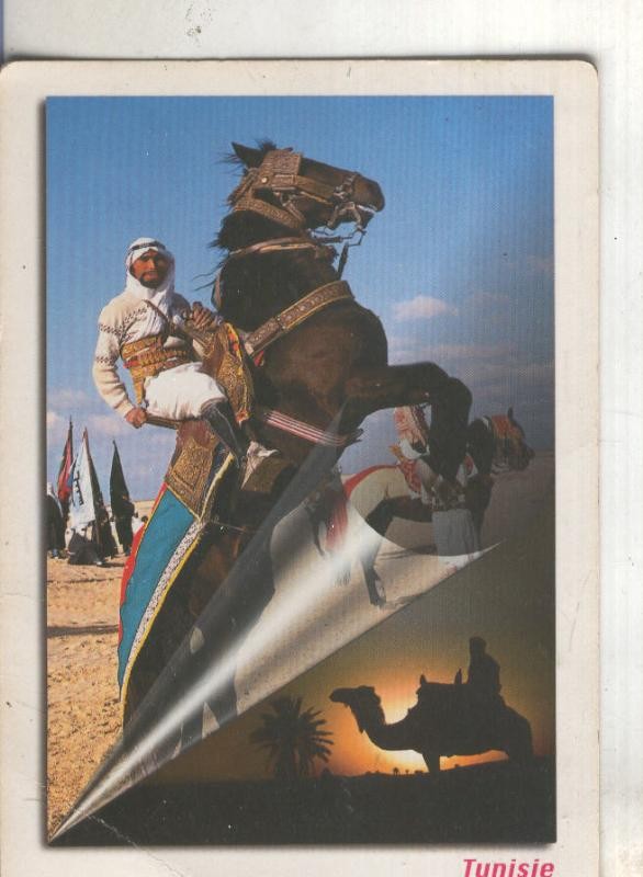Postal 4819 : Publicitaria de Tunisie