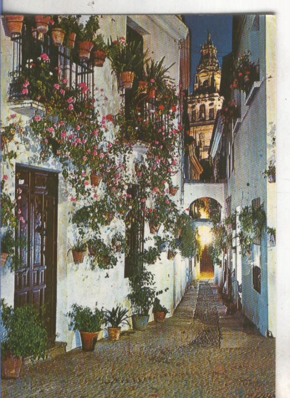 Postal 4888 : España tipica: Cordoba ?