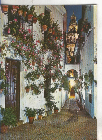 Postal 4888 : España tipica: Cordoba ?