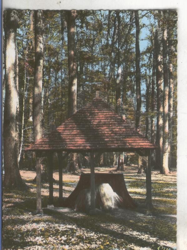 Postal 4934 : Foret de Berce
