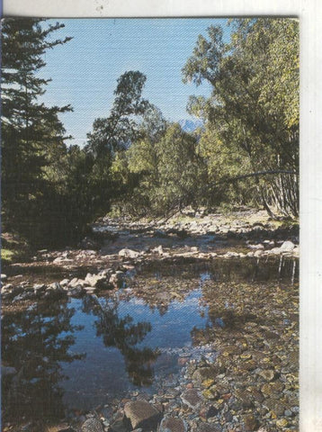 Postal 4953 : Bosque de Bohavi en Tabescan, Pirineo Catalan