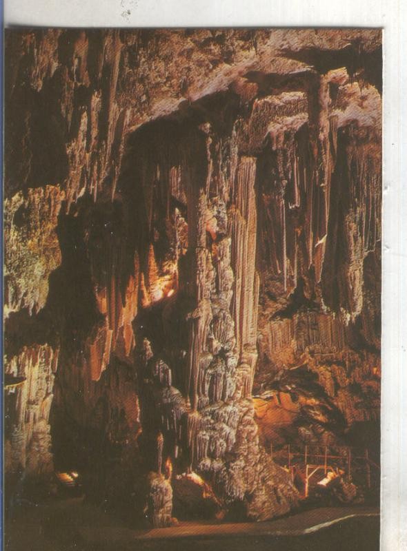 Postal 4961 : Sala de los festivales de la cueva de Nerja en Malaga