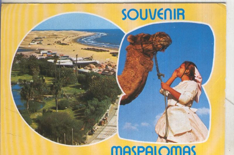 Postal 5107 : Souvenir de Maspalomas en Canaria