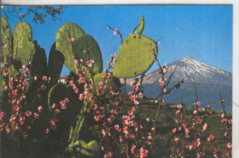 Postal 5171 : Flores y Pico del Teide en Tenerife