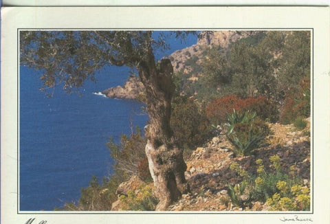 Postal 5212 : Mallorca paraiso de europa