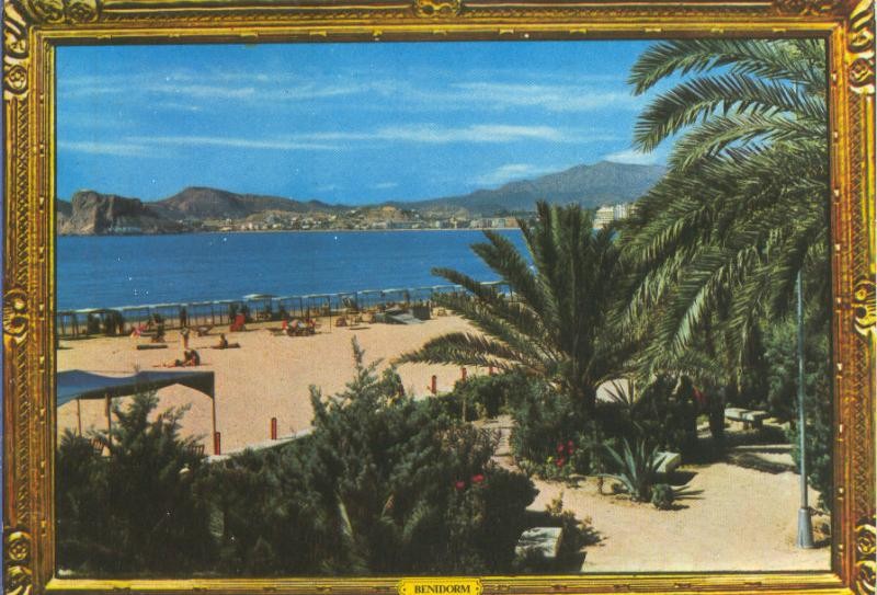 Postal 5262 : Playa de Benidorm