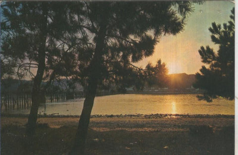 Postal 5306 : Puesta de sol en La Toja