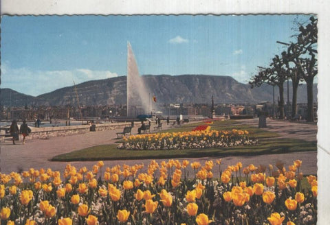 Postal 5446 : Quai Wilson et le Jet d,Eau de Geneve