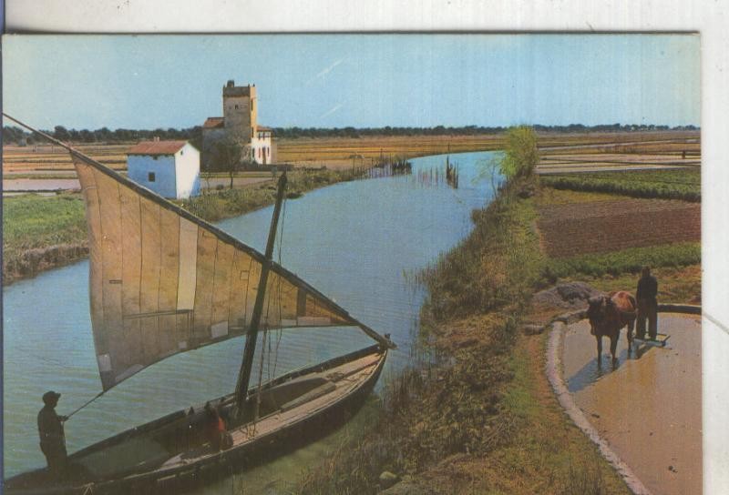 Postal 5456 : Canal de la Albufera (Valencia)