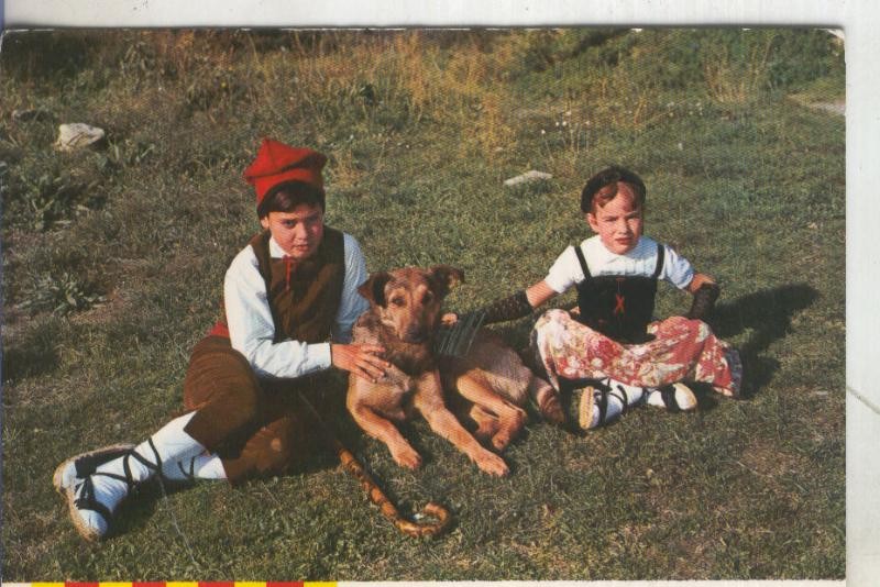 Postal 5488 : Catalunya tipica