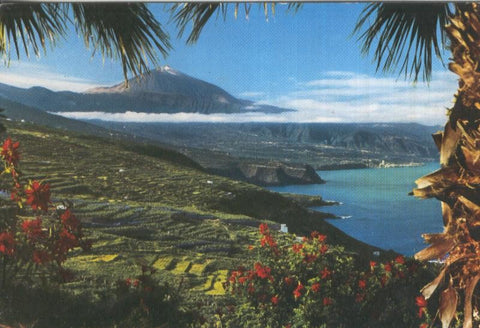 Postal 5732 : Isla de Tenerife, vista general