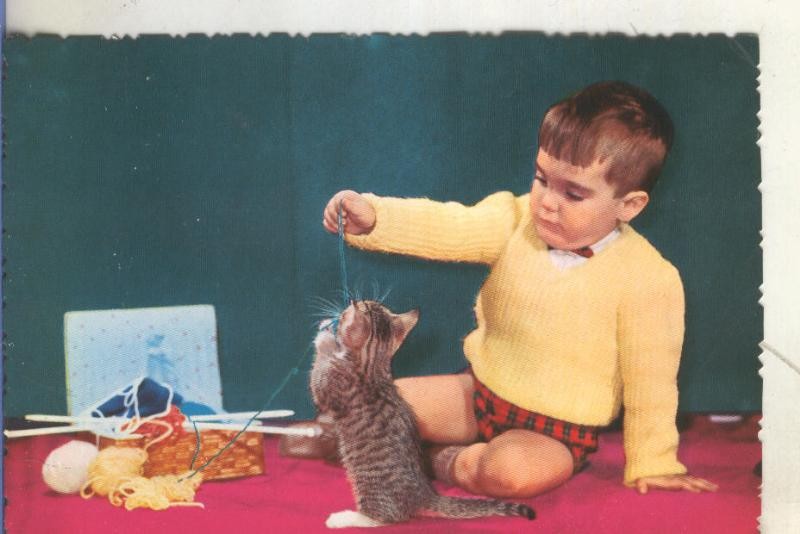 Postal 5926 : Infantil