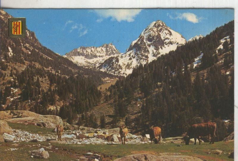 Postal 5939 : Vall de Bohi, Pirineo Catalan