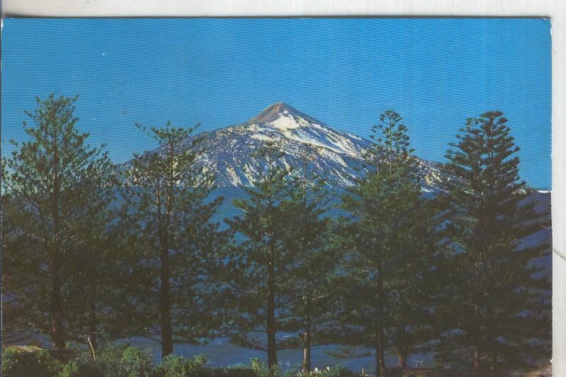 Postal 5952 : Pinos Canarios y El Teide