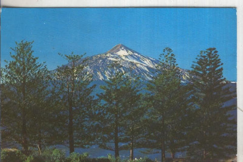 Postal 5952 : Pinos Canarios y El Teide