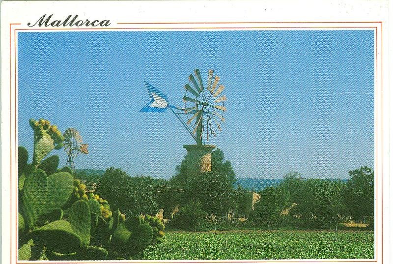 Postal 6178 : Molino de viento, Mallorca