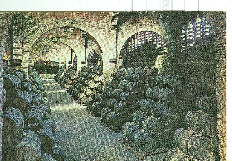 Postal 6307 : Cavas Codorniu, bodega