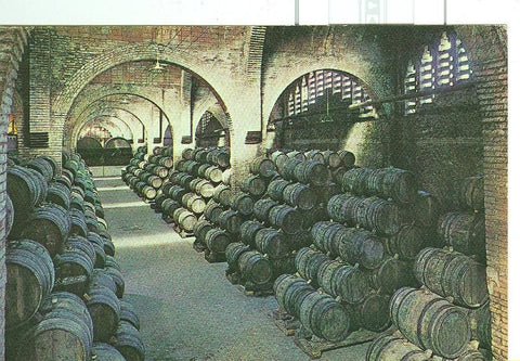 Postal 6307 : Cavas Codorniu, bodega